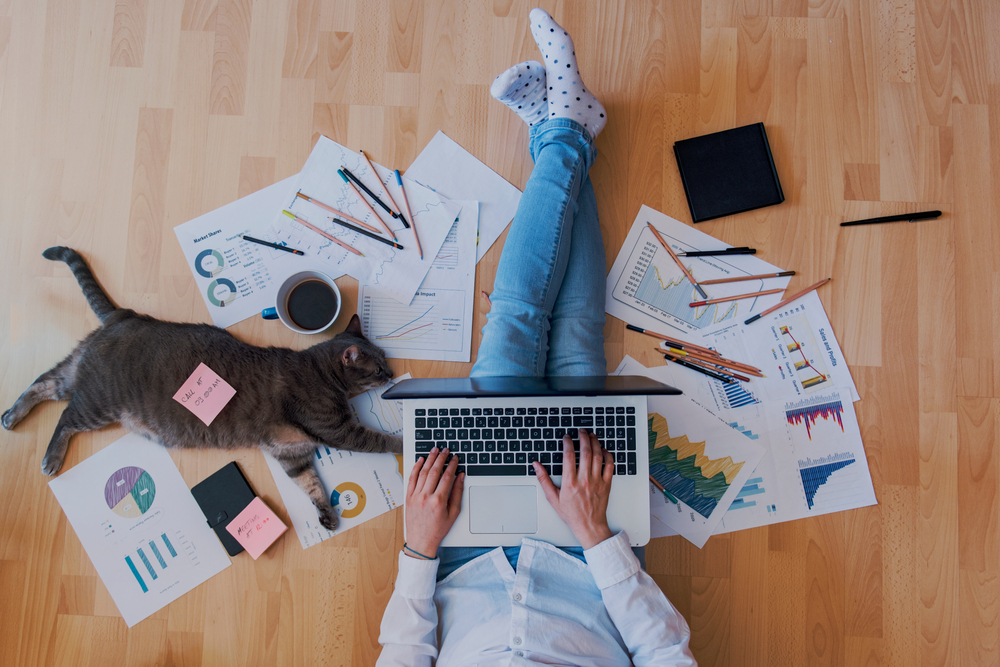 Portage salarial vs Entreprise : le flou du télétravail